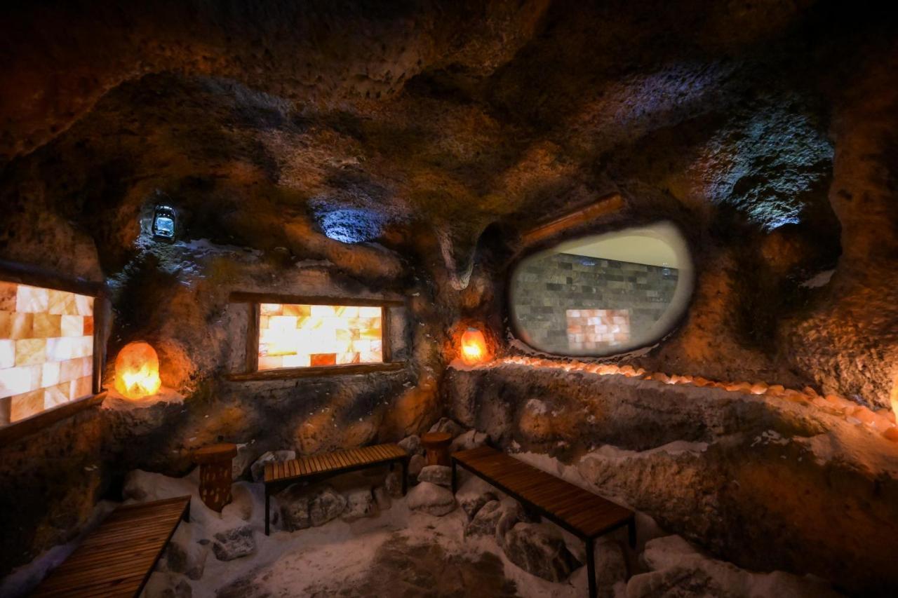 Hotel Yara Vişeu de Sus Dış mekan fotoğraf
